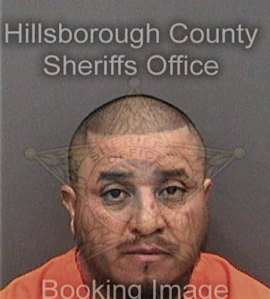 Pedro Labradamora, - Hillsborough County, FL 