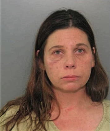 Arlene Llana - Charlotte County, FL 
