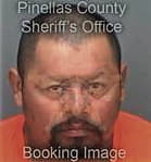 Ulises Pinedasoriano, - Pinellas County, FL 