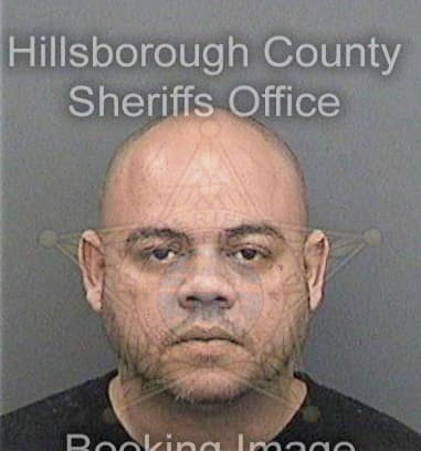 Scott Auer, - Hillsborough County, FL 