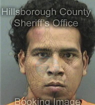 John Bradley - Hillsborough County, FL 