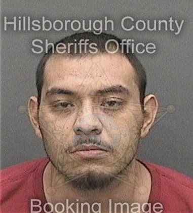 David Burgess, - Hillsborough County, FL 