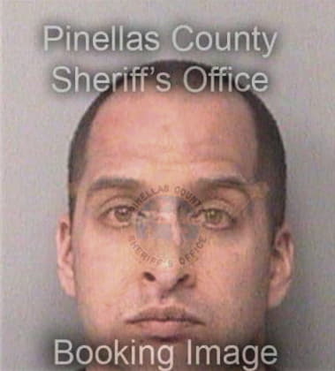 Joshua Deestrada, - Pinellas County, FL 