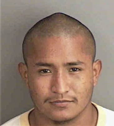 Carlos Dejesusvalerio, - Collier County, FL 