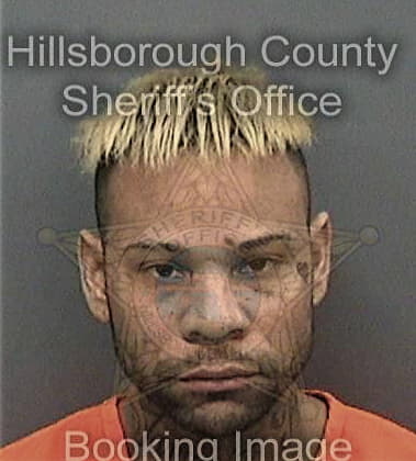 Jerry Lozadacruz, - Hillsborough County, FL 