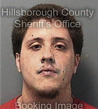 Jose Moreira, - Hillsborough County, FL 