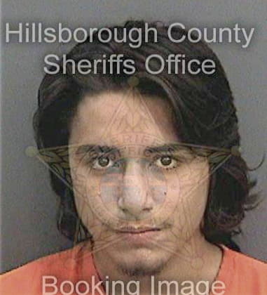 Brian Vikingstad, - Hillsborough County, FL 