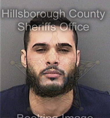 Randall Vining, - Hillsborough County, FL 