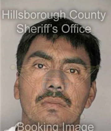 Francisco Alverio, - Hillsborough County, FL 