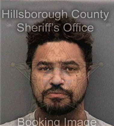 Osmany Izaguirrefonseca, - Hillsborough County, FL 