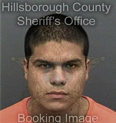 Michael Marotta, - Hillsborough County, FL 