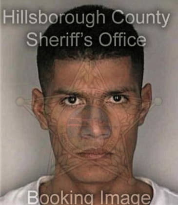 David Alvarez, - Hillsborough County, FL 