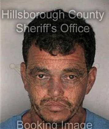 Danielle Bowen - Hillsborough County, FL 
