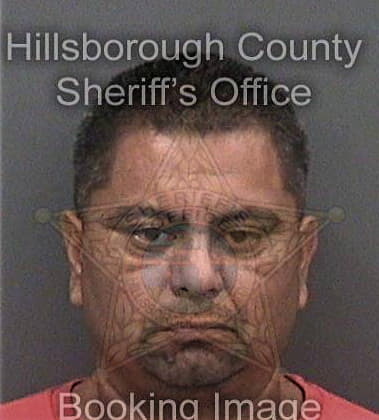 Christian Collins - Hillsborough County, FL 