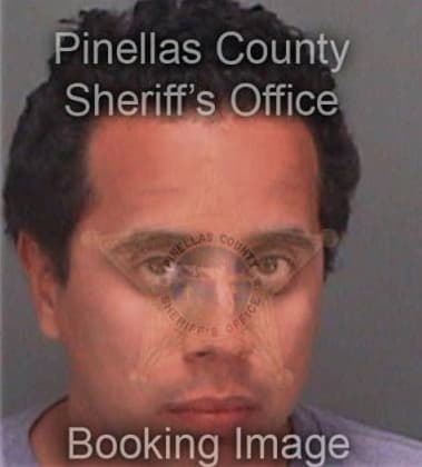 Jose Lopesierragutierrez, - Pinellas County, FL 