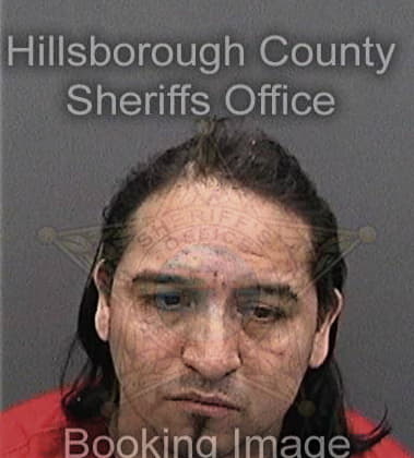 Joshua Machadoborges, - Hillsborough County, FL 