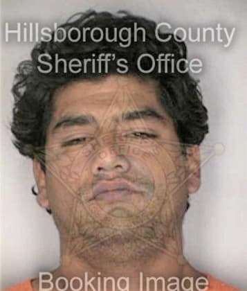 Frank Miller - Hillsborough County, FL 