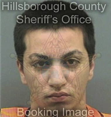 Christopher Silvestrehernandez, - Hillsborough County, FL 