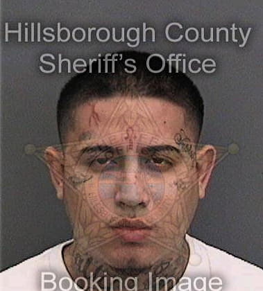 Christiaan Torres, - Hillsborough County, FL 