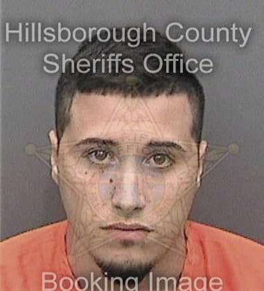Mark Brents - Hillsborough County, FL 