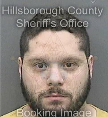 Thomas Giarelli, - Hillsborough County, FL 