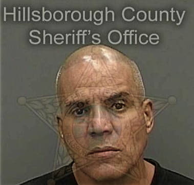 Galindo Gonzalezmejia - Hillsborough County, FL 