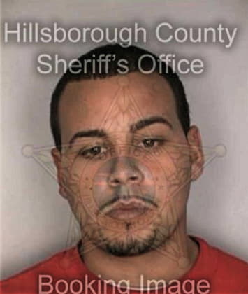 Mario Saloman, - Hillsborough County, FL 