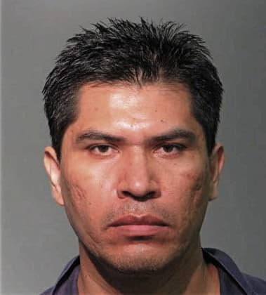 Manuel Sanchez-Garlobo, - Seminole County, FL 