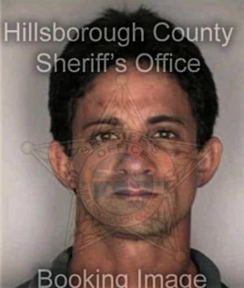 Stephen Bastic, - Hillsborough County, FL 