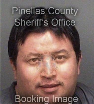 Edwin Collazo, - Pinellas County, FL 