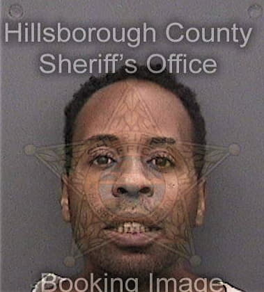 Dave George, - Hillsborough County, FL 