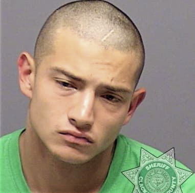 Shawn Paullin, - Clackamas County, OR 