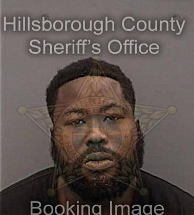 Saeed Pitts, - Hillsborough County, FL 