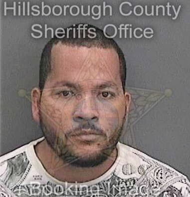 Carl Seiber, - Hillsborough County, FL 