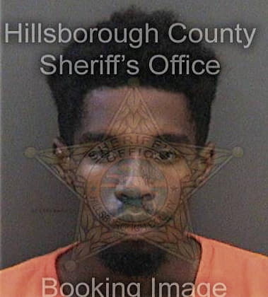 Jason Young, - Hillsborough County, FL 