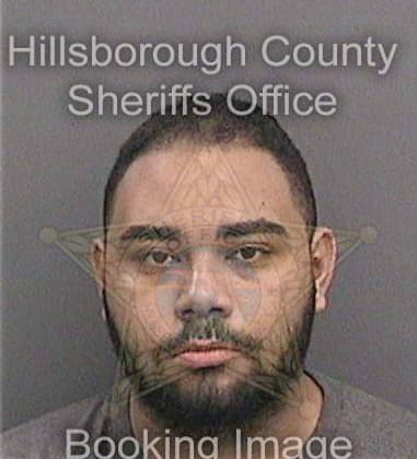 Carlos Zelayabarahona, - Hillsborough County, FL 