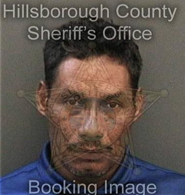 Steven Fields, - Hillsborough County, FL 