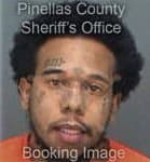 Ronnie Rodgers, - Pinellas County, FL 