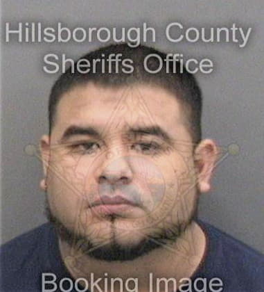 Saul Andrade, - Hillsborough County, FL 