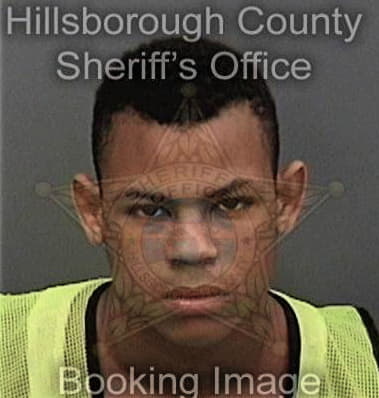 Brandon Archie, - Hillsborough County, FL 