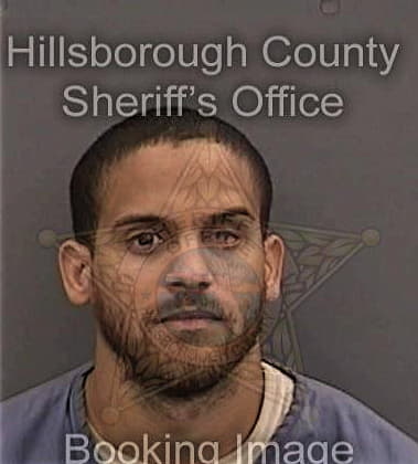 Daniel Baird, - Hillsborough County, FL 