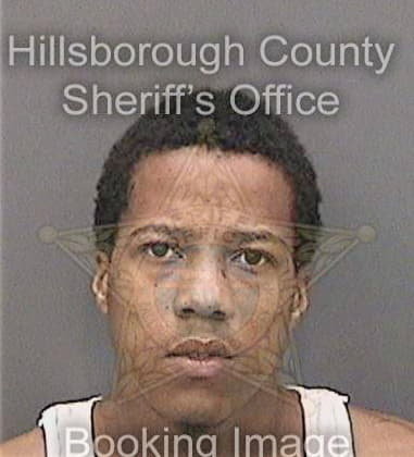 Aaron Diggs, - Hillsborough County, FL 