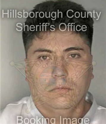 Michael Flanagan, - Hillsborough County, FL 