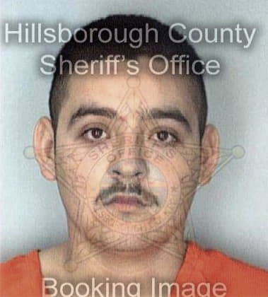 Gary Juliano, - Hillsborough County, FL 