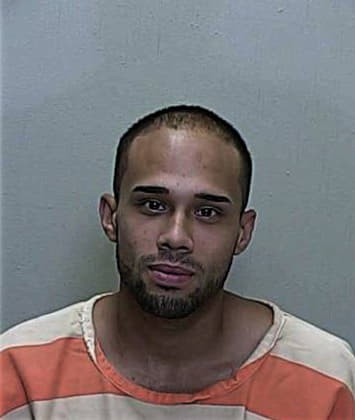 Ismael Medina-Roque, - Marion County, FL 