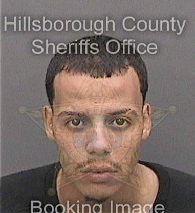 Zaid Morales-Ruiz, - Hillsborough County, FL 