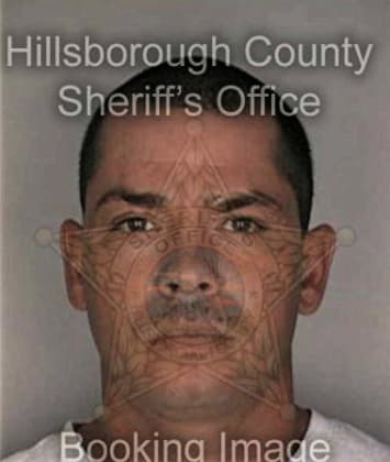 Jorge Ramirezperez, - Hillsborough County, FL 