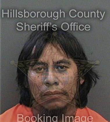 Giomar Almanza-Ibarra, - Hillsborough County, FL 