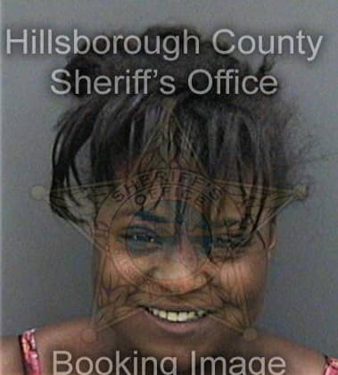 Rapromise Bridges - Hillsborough County, FL 