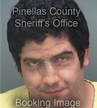 Luis Colonsantiago, - Pinellas County, FL 